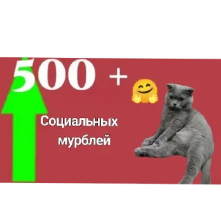 Sticker Любимый Кот Мурик - 6