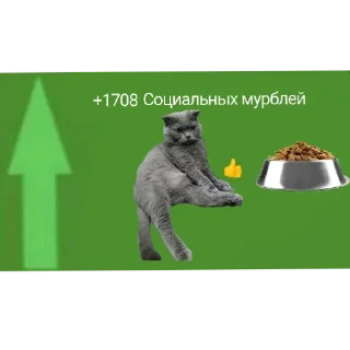 Sticker Любимый Кот Мурик - 9