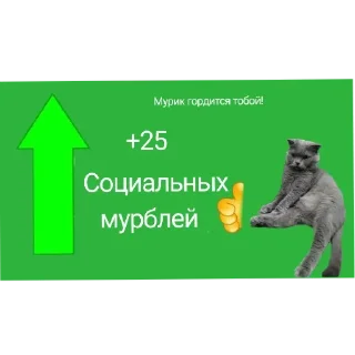 Sticker Любимый Кот Мурик - 5