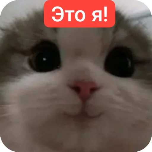 Стикер Lyudi6012 - 1