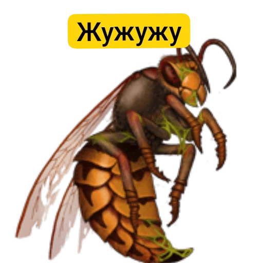 Sticker Lyudi6012 - 1