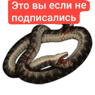 Sticker Стикеры имени меня - 3