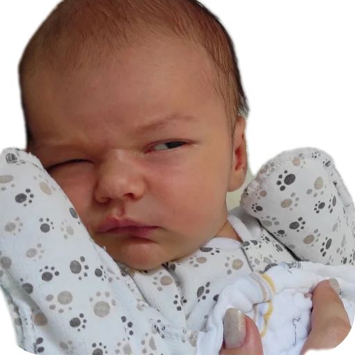 Стикер LyutikIEgoRodstvenniki - 1