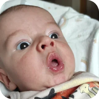 Sticker Лютик и его родственники - 10