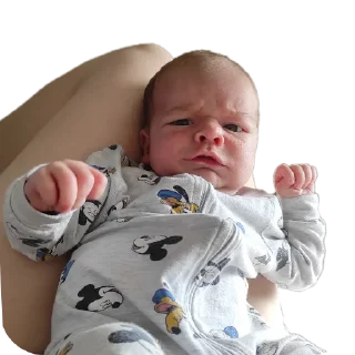 Sticker Лютик и его родственники - 5