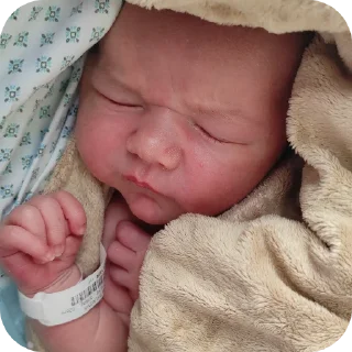 Sticker Лютик и его родственники - 4