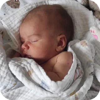 Sticker Лютик и его родственники - 11