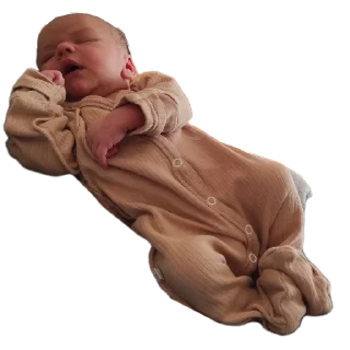 Sticker Лютик и его родственники - 6