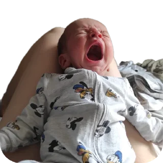 Sticker Лютик и его родственники - 9