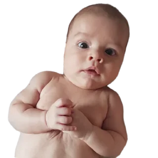 Sticker Лютик и его родственники - 7