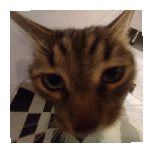 Sticker Lyutipon976 - 1