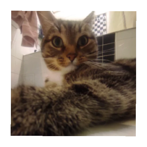 Sticker Lyutipon976 - 1