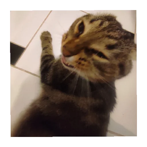 Sticker Lyutipon976 - 1