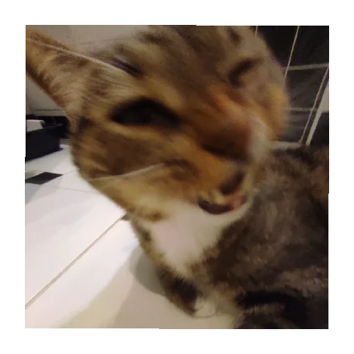 Sticker Lyutipon976 - 1