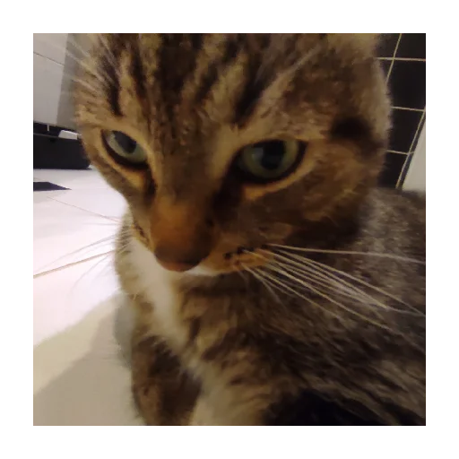 Sticker Lyutipon976 - 1