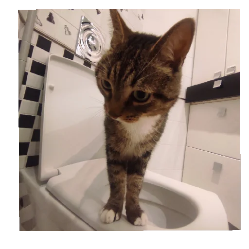 Sticker Lyutipon976 - 1