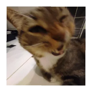 Sticker Лютипон - 3