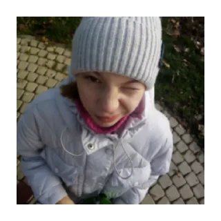 Sticker Лютипон - 0