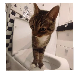 Sticker Лютипон - 1