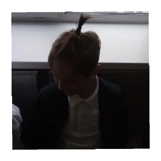 Sticker Лютипон - 5