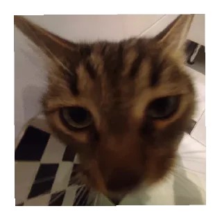 Sticker Лютипон - 10