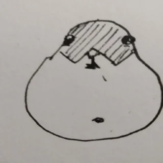 Sticker МИШААА ПРИВЕТ https://t.me/MISHAAAAAA0 - 8