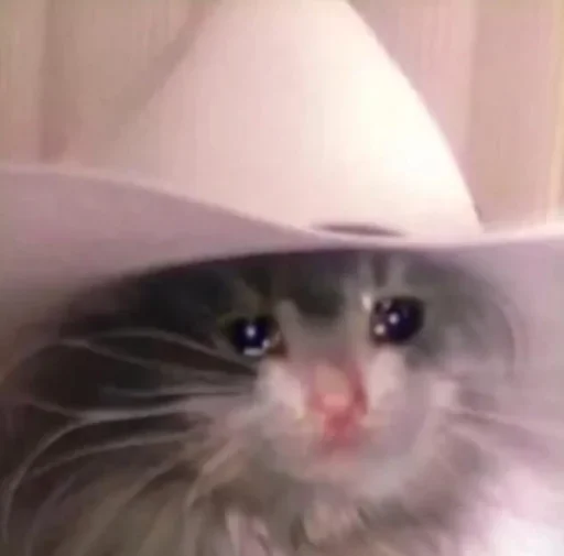 Sticker Michis cursed - 11