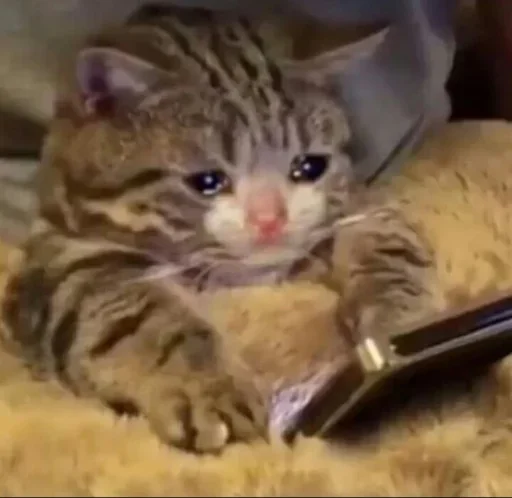 Sticker Michis cursed - 5