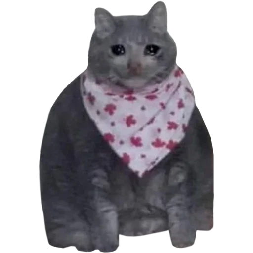 Sticker Michis cursed - 2