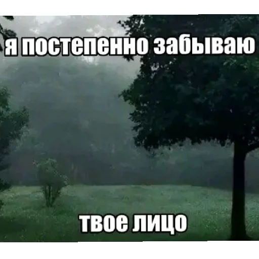 Sticker M1rNeIsprav1mVn9tr1temnVn9tr1temn032 - 1