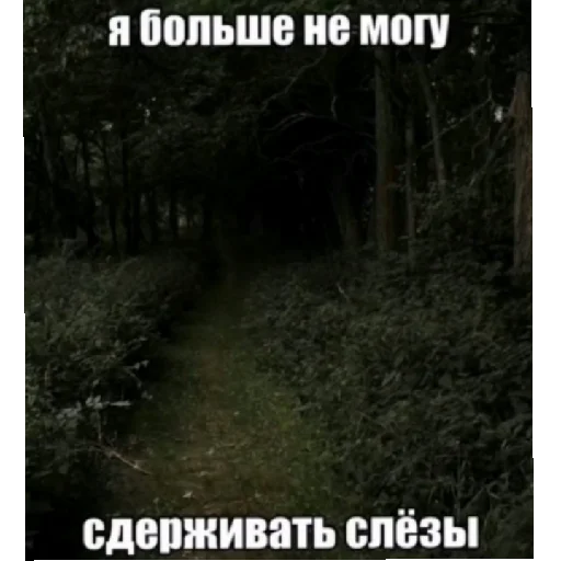 Sticker M1rNeIsprav1mVn9tr1temnVn9tr1temn032 - 1