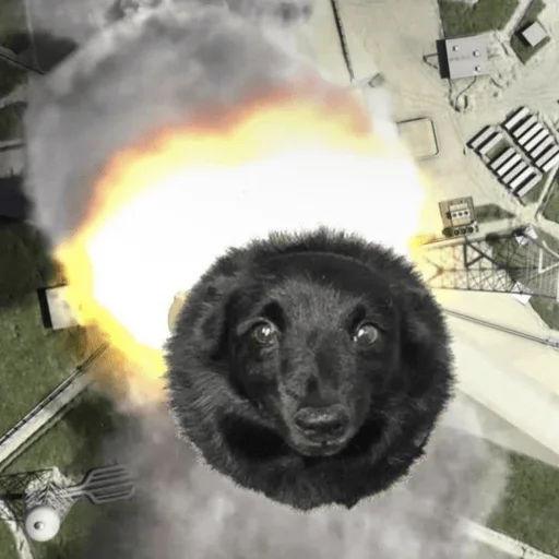 Sticker MAD_FAYGO - 1