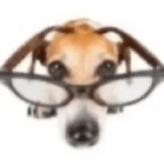 Sticker FAYGO MADNESS 2 - 10