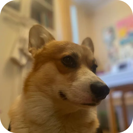 Стикер MAFFIN805 - 1