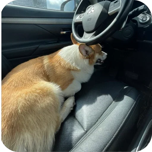 Sticker MAFFIN805 - 1