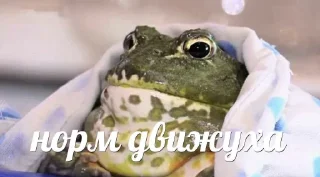 Стикер MAMAKINA KOROBKA 3.0 - 3