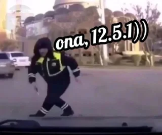 Sticker 12.5.1 _d1s_ - 6