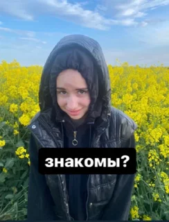 Sticker Niggerrss🤙🏾 - 8