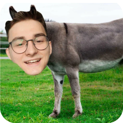 Sticker MASHAIKONA9 - 1