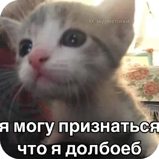 животное млекопитающее СМС