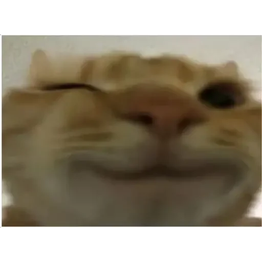 Стикер 玉子 - 10