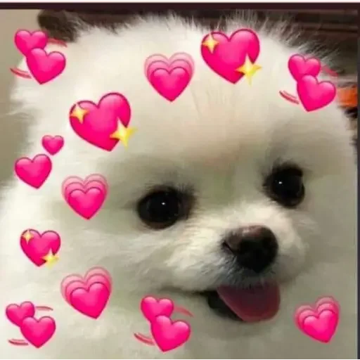 Стикер 玉子 - 8