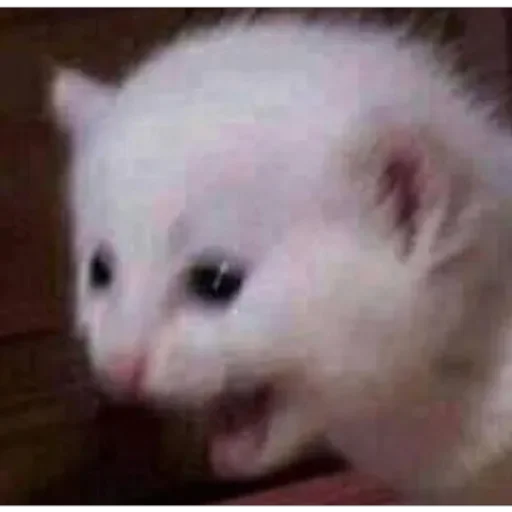 Стикер 玉子 - 7