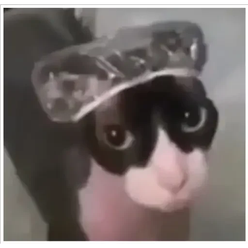 Стикер 玉子 - 1