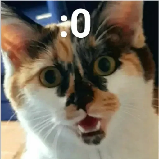 Стикер 玉子 - 0