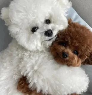 Sticker Больше стикеров: @sticerru - 4