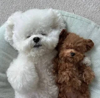 Sticker Больше стикеров: @sticerru - 6