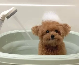 Sticker Больше стикеров: @sticerru - 7