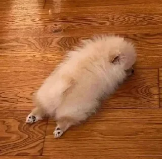 Sticker Больше стикеров: @sticerru - 10