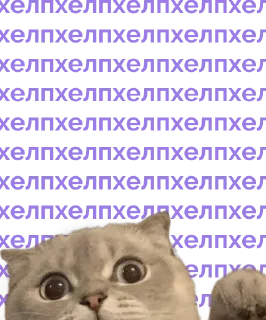 Sticker MC Russia 23.24 - 1